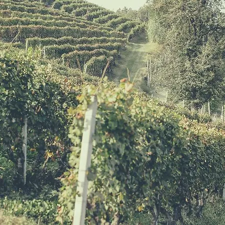 Casa Ressia Alloggio per agriturismo